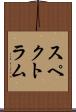 スペクトラム Scroll