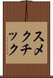 スメクチック Scroll