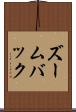ズームバック Scroll