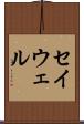 セイウェル Scroll