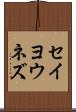 セイヨウネズ Scroll