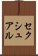 セクシュアル Scroll