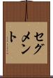 セグメント Scroll