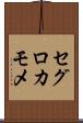 セグロカモメ Scroll