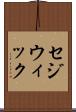 セジウィック Scroll