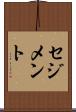 セジメント Scroll