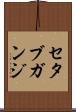 セタブガンジ Scroll