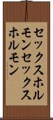 セックスホルモン Scroll