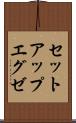 セットアップエグゼ Scroll