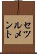 セツルメント Scroll