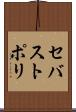 セバストポリ Scroll