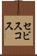 セビスコス Scroll