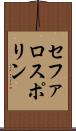 セファロスポリン Scroll