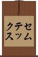 セムテックス Scroll