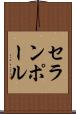 セランポール Scroll