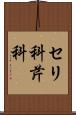 セリ科 Scroll
