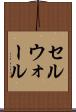 セルウォール Scroll