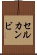 セルカンビ Scroll
