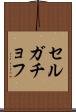 セルガチョフ Scroll