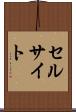 セルサイト Scroll