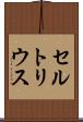 セルトリウス Scroll