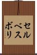 セルベスボリ Scroll