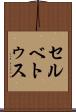 セルベトゥス Scroll