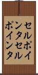 セルポインタ Scroll