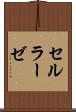 セルラーゼ Scroll