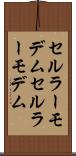セルラーモデム Scroll