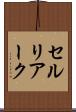 セルリアーク Scroll