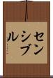 センシブル Scroll