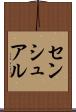 センシュアル Scroll