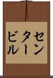 センタービル Scroll