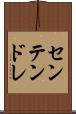 センテンドレ Scroll