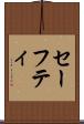セーフティ Scroll