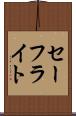 セーフライト Scroll