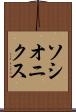 ソシオニクス Scroll