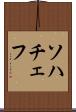 ソハチェフ Scroll