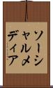ソーシャルメディア Scroll