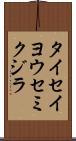 タイセイヨウセミクジラ Scroll