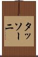 タッソーニ Scroll
