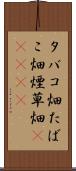 タバコ畑 Scroll