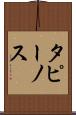 タピーノス Scroll