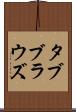 タブブラウズ Scroll