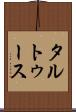 タルトゥース Scroll