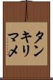 タンキリマメ Scroll