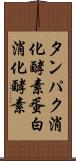 タンパク消化酵素 Scroll