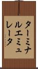 ターミナル・エミュレータ Scroll