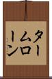 タームローン Scroll